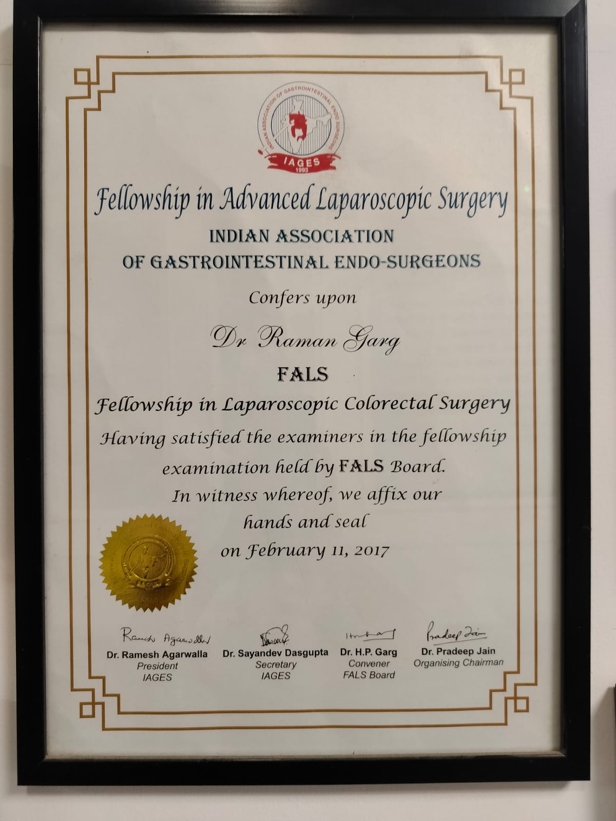 FALS — Fellowship in Laparoscopic Colorectal Surgery (IAGES)